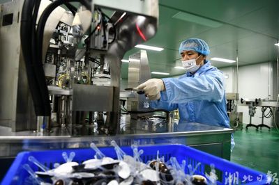 通城 中藥材深加工忙 醫(yī)藥產(chǎn)業(yè)展新篇